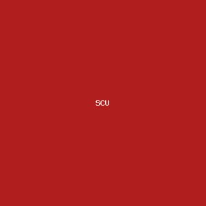 SU Human Jukebox logo